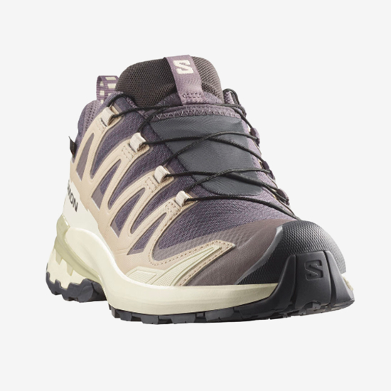 SALOMON ž trail copati 477447 XA PRO 3D V9 GTX nine iron/oxford tan/alfalfa