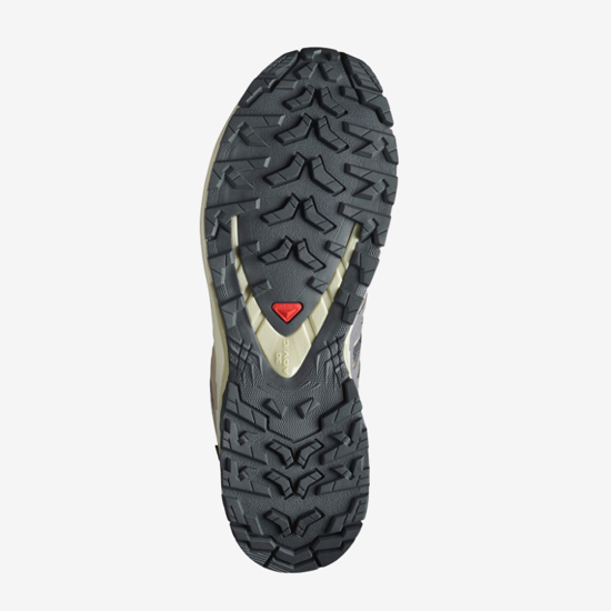 SALOMON ž trail copati 477447 XA PRO 3D V9 GTX nine iron/oxford tan/alfalfa